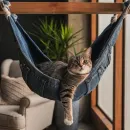 Гамак для питомца